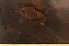 Thumbnail image 10