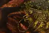 Thumbnail image 5