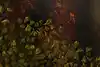 Thumbnail image 6