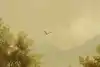 Thumbnail image 9