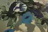 Thumbnail image 12