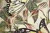 Thumbnail image 5