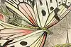 Thumbnail image 6