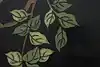 Thumbnail image 12