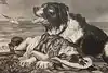 Thumbnail image 7