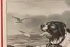 Thumbnail image 8