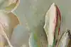 Thumbnail image 9