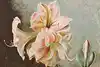 Thumbnail image 1