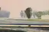 Thumbnail image 8