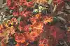 Thumbnail image 8