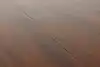 Thumbnail image 20