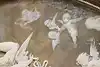 Thumbnail image 16
