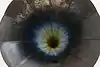 Thumbnail image 18