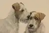 Thumbnail image 8