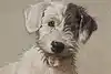 Thumbnail image 5