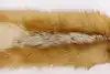 Thumbnail image 9
