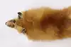Thumbnail image 4