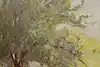 Thumbnail image 9