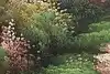 Thumbnail image 9