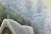 Thumbnail image 10