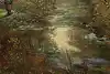 Thumbnail image 7