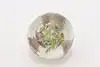 Thumbnail image 7