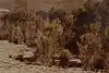 Thumbnail image 9