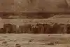 Thumbnail image 12