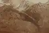 Thumbnail image 14