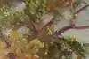 Thumbnail image 8