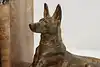 Thumbnail image 18