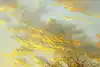 Thumbnail image 11