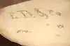 Thumbnail image 17