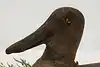 Thumbnail image 1