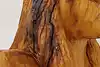 Thumbnail image 14