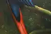 Thumbnail image 7