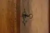 Thumbnail image 13