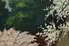 Thumbnail image 11