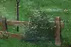 Thumbnail image 12