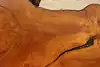 Thumbnail image 10