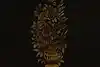 Thumbnail image 14