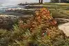 Thumbnail image 8