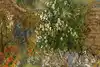 Thumbnail image 9