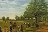 Thumbnail image 1