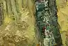 Thumbnail image 8