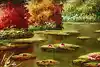 Thumbnail image 8