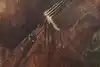 Thumbnail image 8