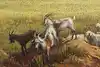 Thumbnail image 7