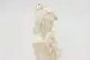 Thumbnail image 12