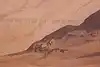 Thumbnail image 7